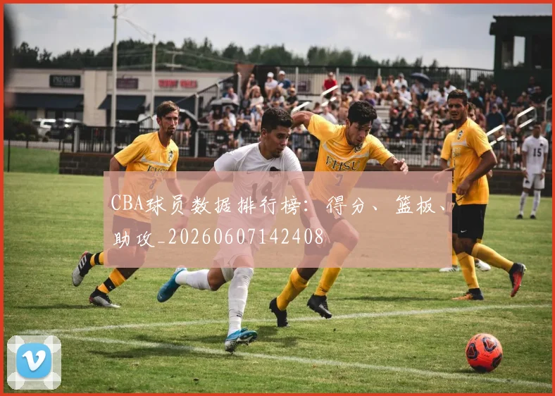 CBA球员数据排行榜：得分、篮板、助攻_20260607142408