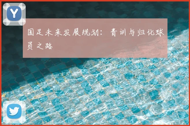 国足未来发展规划：青训与归化球员之路